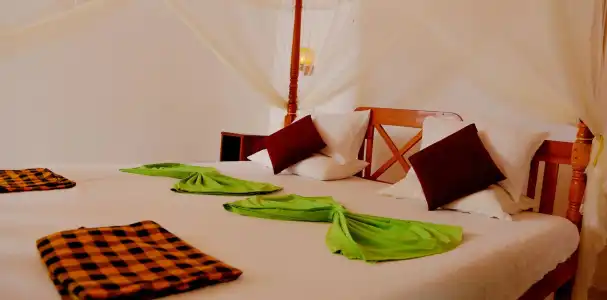 Nature Lanka Ayurveda Resort - 2