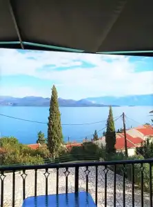 Vergina Star - 120