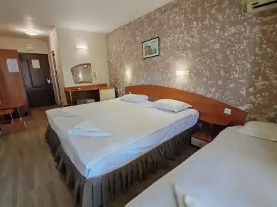 Paloma - 3