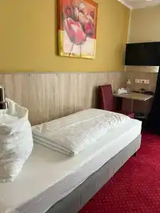 Palm Premium - 53