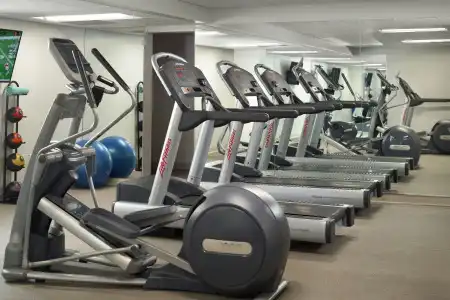 Courtyard by Marriott Miami Coconut Grove - 23