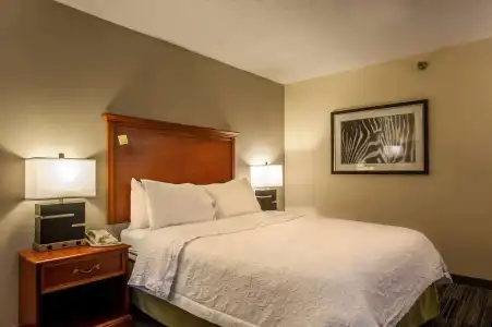 Hampton Inn by Hilton Bowling Green - 38