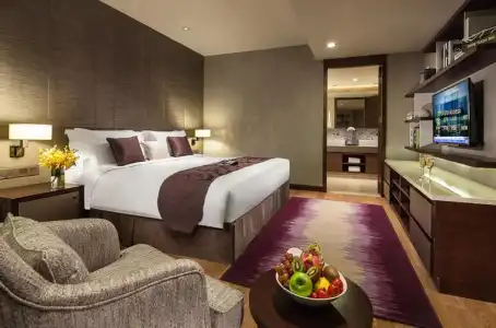 Ascott Raffles City Chengdu - 201