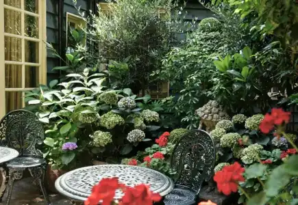 The Rookery - 8
