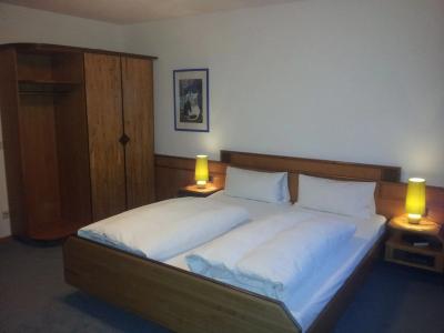 AltstadtGrauer Wolf - 3