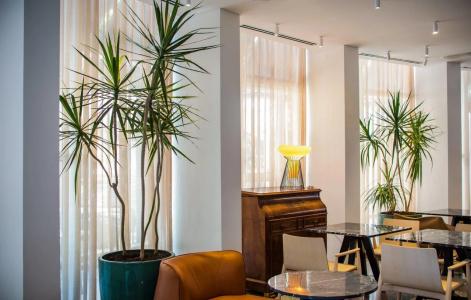 65, Rothschild Tel Aviv - an Atlas Boutique - 15
