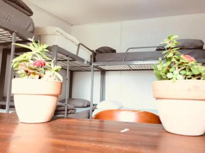 Al Yakhour Hostel - 22
