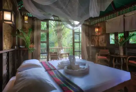 Our Jungle Camp - Eco Resort - 71