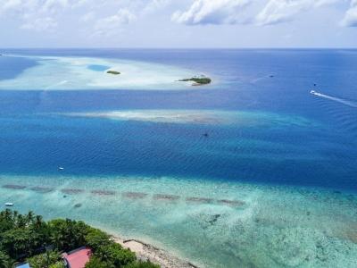 Shallow Lagoon - 13