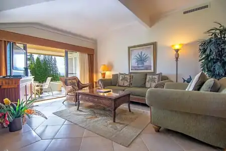 Kapalua Villas Maui - 214
