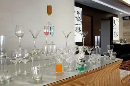 The Golden Palms & Spa Delhi - 15