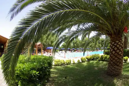 Villaggio Albatros - 3