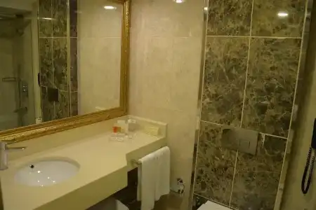 Ege Palas Business - 8