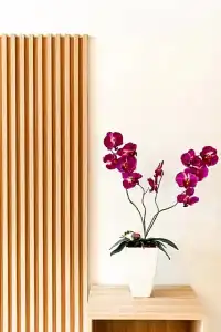 The Golden Ville Boutique & Spa - 168