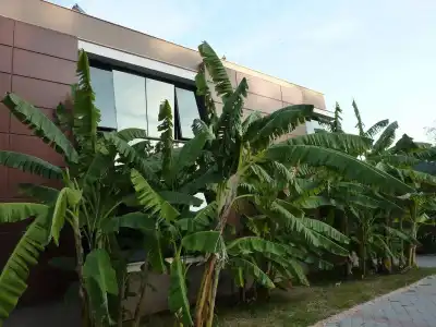 Çetinel Otel - 10