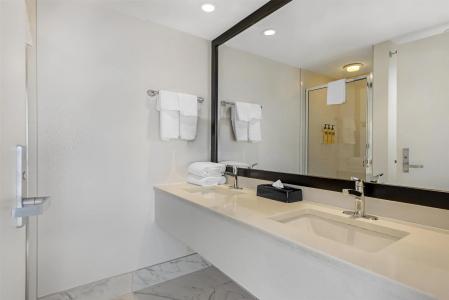 Best Western Plus Suites Downtown - 74