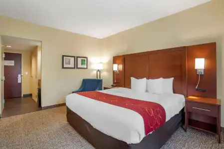 Comfort Suites Fredericksburg North - 56