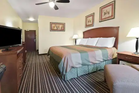 Super 8 by Wyndham Austin/Airport South - 6