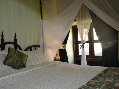 Zanzibar - 2