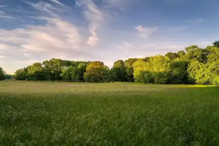 ParkBremen - 55