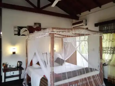 The Oasis Villa - 3