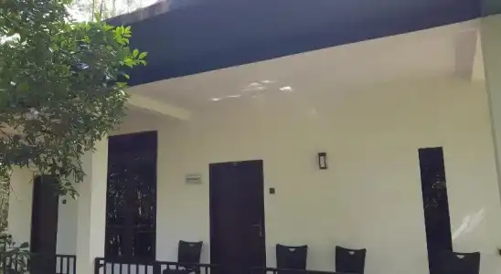 Green House - 23