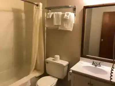 Village Inn Motel Holt - 28