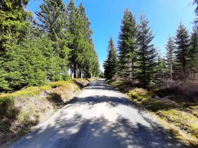Rathaushotels Oberwiesenthal All Inclusive - 43