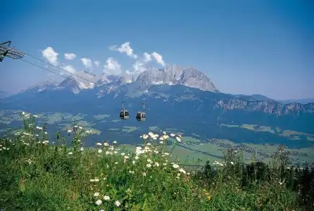 Fischer - 16