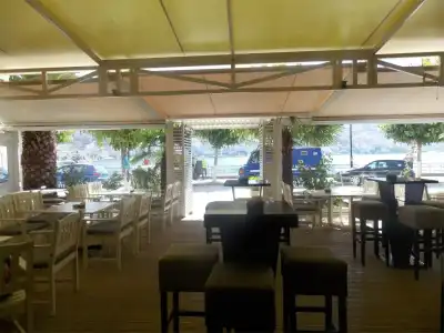 Mano - 14