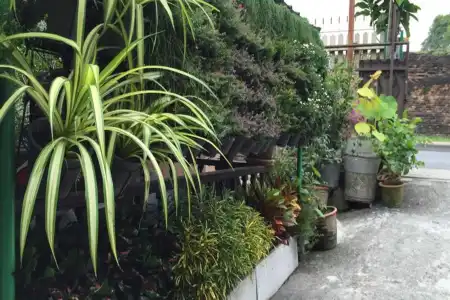Siriwan Guesthouse - 6