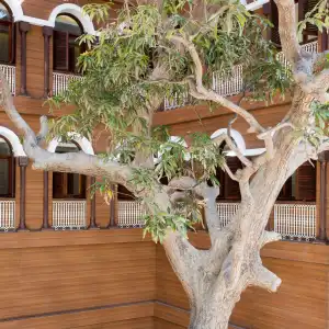 Park Hyatt Zanzibar - 47