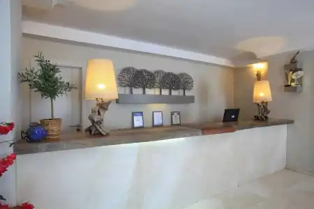 Zeytinada - 1
