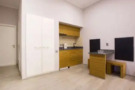 Pushkinskaya Apartments - 16
