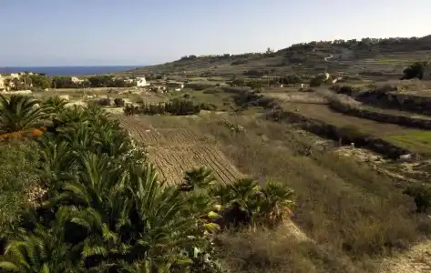 Villa Boomerang - 8