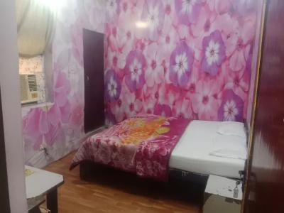 Raj Bed & Breakfast - 54