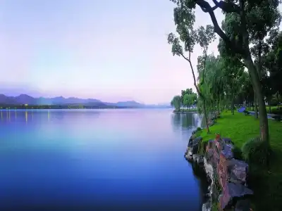 Zhejiang Xizi - 19