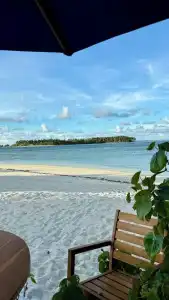 The Maverick Surf and Dive Boutique - 25