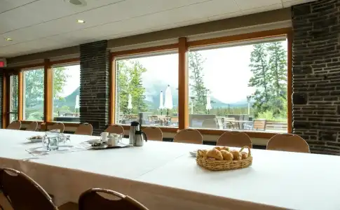 The Juniper - 23