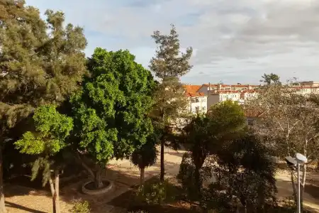 Macià Doñana - 66