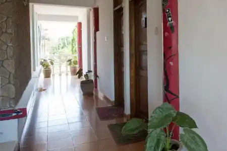 Q-Bar & Guest House - 11