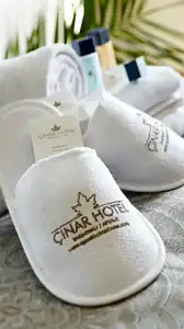 Ayvalik Cinar - 45