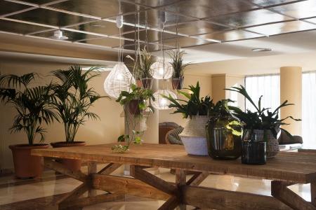 Luna Park Yoga & Spa - 10