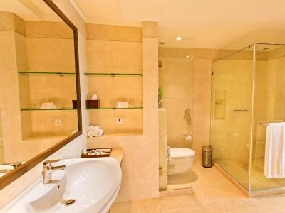 The Lalit Traveller Jaipur - 32