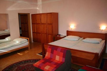 Guesthouse Janez - 19
