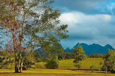 Royal Park Resorts - 15