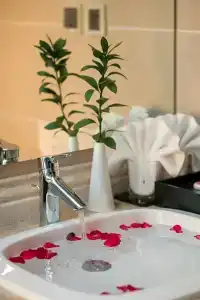 Halios Luxury Halong - 56