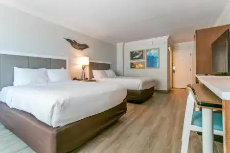 Dolphin Sands Clearwater Beach, an Ascend Collection - 2