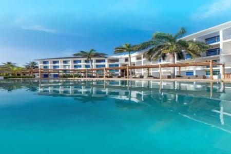 Giraffe Ocean View - 4