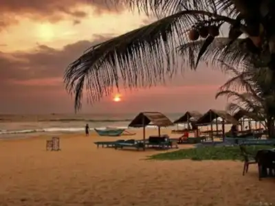International Beach and Restaurant - 15